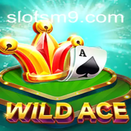 Descubra o Universo de WildAce com SLOTS-M9.COM